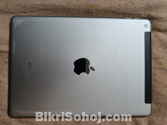 Apple iPad (Model A1954)